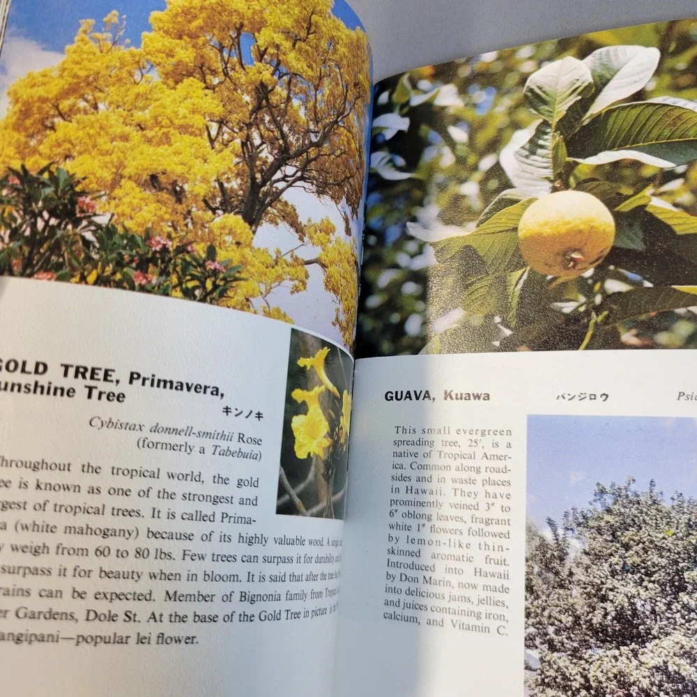 Tropical Trees of Hawaii Dorothy & Bob Hargreaves Paperback 130+ Color Photos
